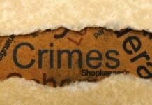 पंचकूला नगर निगम घोटाला: 160 करोड़ की हेराफेरी में स्वाति तोमर का सरेंडर, हरियाणा में वित्तीय निगरानी पर उठे गंभीर सवाल