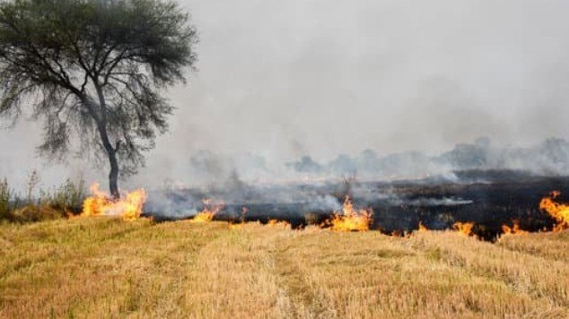 Parali fire