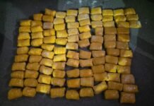 अमृतसर में सीमा पार से संचालित नार्काे तस्करी नेटवर्क से जुड़े दो व्यक्ति 51.5 किलोग्राम हेरोइन सहित काबू