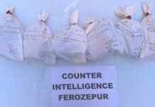 ਫਾਜ਼ਿਲਕਾ ਵਿੱਚ ਸਰਹੱਦ ਪਾਰੋਂ ਤਸਕਰੀ ਦੀ ਕੋਸ਼ਿਸ਼ ਨਾਕਾਮ; 6.5 ਕਿਲੋਗ੍ਰਾਮ ਹੈਰੋਇਨ ਬਰਾਮਦ