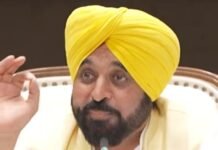 Political Tensions Rise as Mann Criticises Raghav Chadha Over Party Discipline