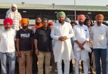 चंडीगढ़ से मंडियों तक भ्रष्टाचार की चेन सक्रिय, गेहूं खरीद के नाम पर पंजाब में खुली लूट-सांसद औजला