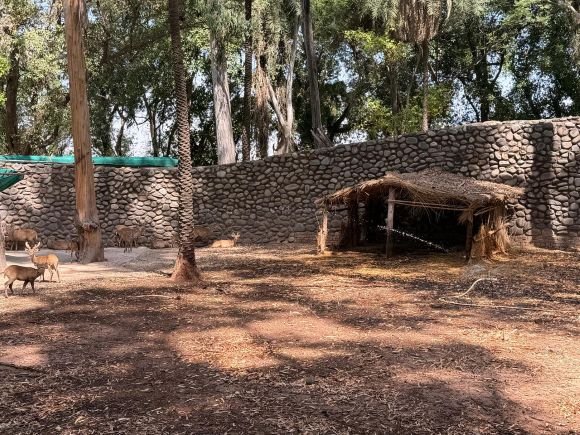 Chatbir zoo