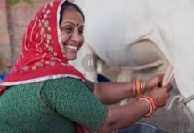 दूध में मिलावट का खतरनाक खेल: पंजाब में हर तीसरा सैंपल फेल, बच्चों की सेहत पर गहराता संकट