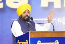 Punjab Regularises 516 Forest Department Workers, Restores Promotions in Major Push for Employee Welfare