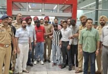 मलेशिया से बंबीहा गैंग के तीन कथित गुर्गे डिपोर्ट, पंजाब पुलिस की कार्रवाई से गैंगस्टरों पर शिकंजा