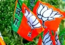 BJP Revamps State Teams Ahead of 2027 Elections: Smriti Irani Gets Haryana, Shrikant Sharma to Handle Himachal, Satish Poonia Gets Punjab