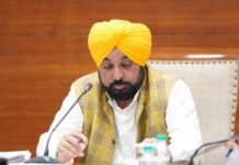 Punjab Cabinet Under CM Bhagwant Mann Clears Three-Pronged Paddy Procurement Plan for Kharif 2026-27