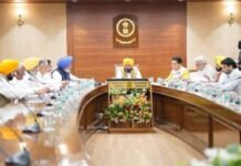 Punjab Cabinet Amends PPSC Rules, Opens Promotion Route from Personal Assistant to Personal Secretary