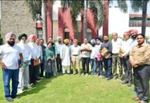 Punjab Government, Employees Reach Agreement on DA Hike; Two 4% Instalments to Take Total DA to 50%