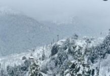 Rain, Thunderstorms and Hail Alert Across North India: Punjab, Haryana and Delhi on High Vigilance as Himachal Forecasts Stormy Weather