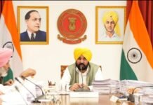 Punjab Moves to Fast-Track Drug Trials: Mann Cabinet Clears 35 Dedicated NDPS Courts, Approves 385 Posts